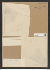 Triceratium hybridum var. kamtschaticum Grun. (de-Toni-Nr.: Genus 140, Species 3720) Zeichnungen Sammlung Grunow Nr. 7217 (NHMW-BOT-W0376207)
